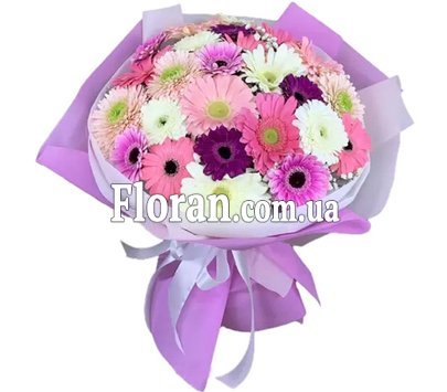 Гербери на Ювілей