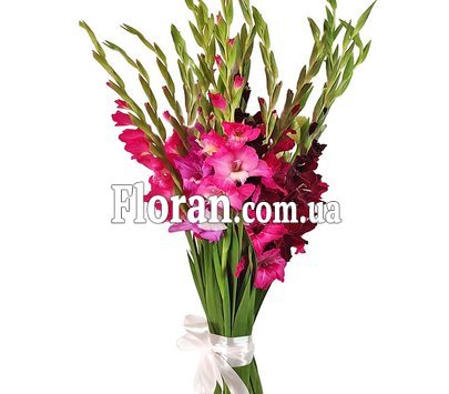 Гладиолусы букет