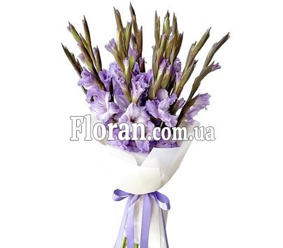 Gladiolus for grandma