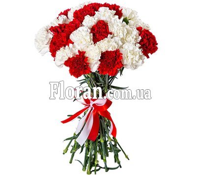 Контрастный букет гвоздик