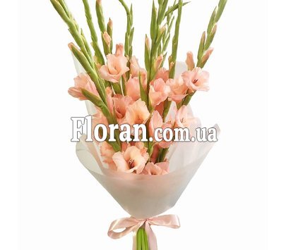 Коралові гладіолуси у букеті