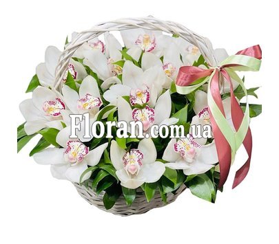 Кошик з білими орхідеями