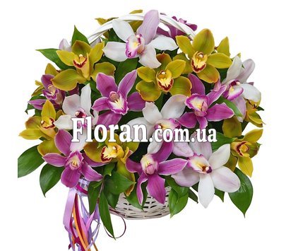 Кошик з орхідеями