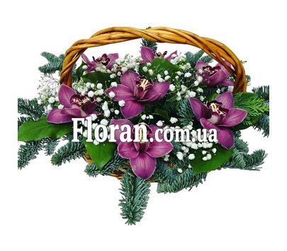 Корзинка новогодняя с орхидеями