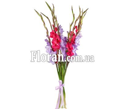 Красивый букет гладиолусов