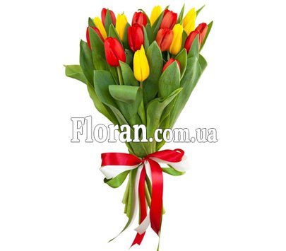 Красно желтые тюльпаны