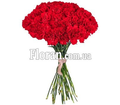 Червоні гвоздики