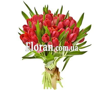 Червоні тюльпани букет