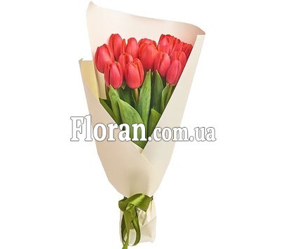 Червоний тюльпан