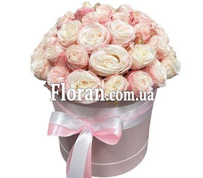 Кремові кущові троянди в коробці