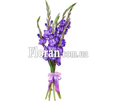 Літній букет гладіолусів