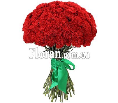 Мужской букет гвоздик