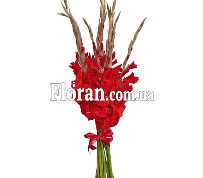 Мужской букет из гладиолусов