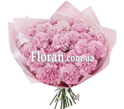 Ніжний букет із гвоздик