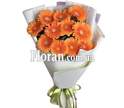Orange gerberas in a bouquet