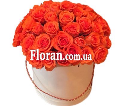 Orange roses in a box