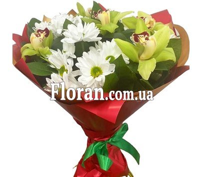 Орхідеї хризантеми