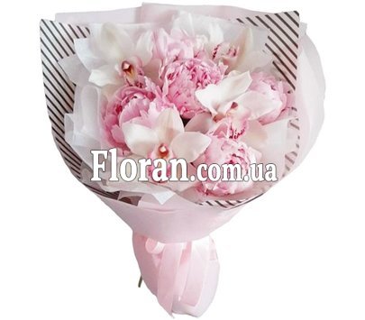 Півонії орхідеї