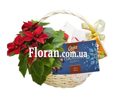 Святковий кошик на Різдво