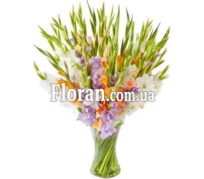 Festive bouquet of gladioli