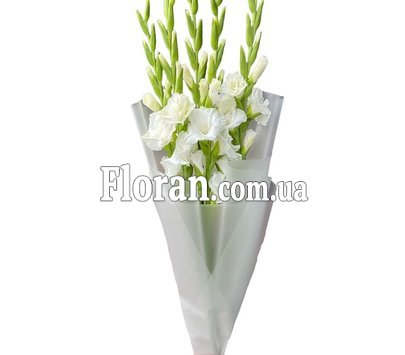 П'ять білих гладіолусів