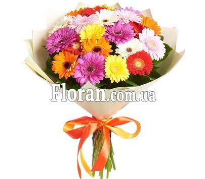 Разноцветные герберы в букете