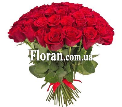 Роза Фрідом Еквадор