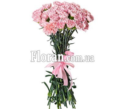 Рожеві гвоздики