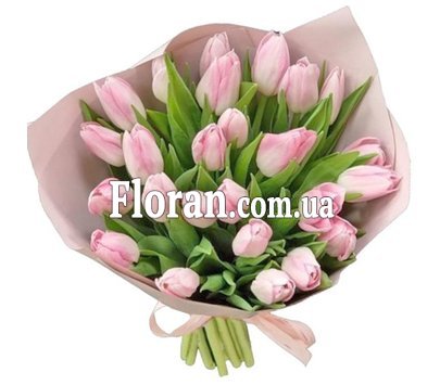 Розовые тюльпаны