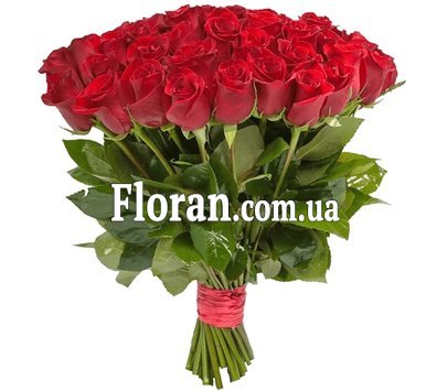 С днем рождения бордовые розы