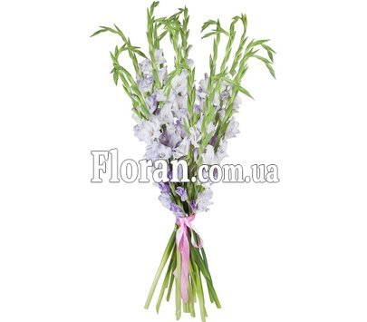 Бузкові гладіолуси в букеті