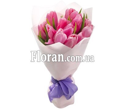 Тюльпани 11 квітів