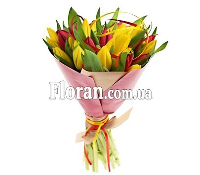 Тюльпани 30 штук