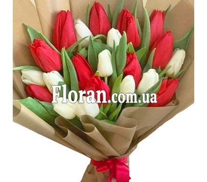 Тюльпаны красные и белые