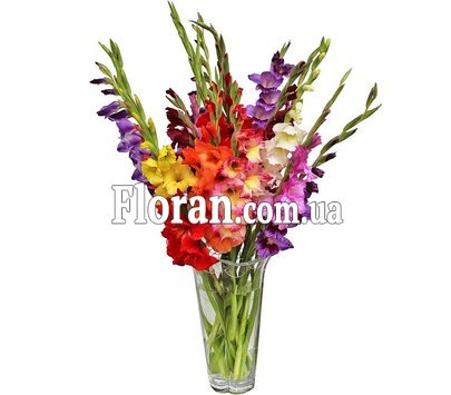 Яркий букет из гладиолусов