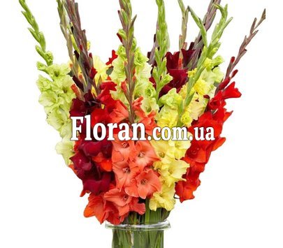 Яскравий букет різнокольорових гладіолусів