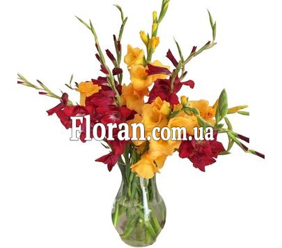 Жовті та червоні гладіолуси