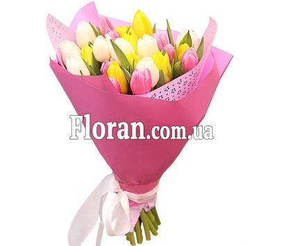 Живі тюльпани