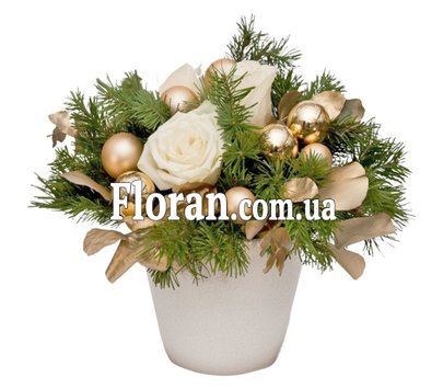 Золотисто-біла композиція у кашпо