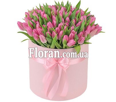 101 розовый тюльпан в коробке