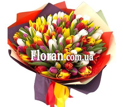 101 тюльпан букет