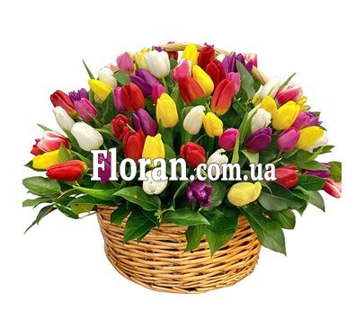 101 тюльпан в корзине