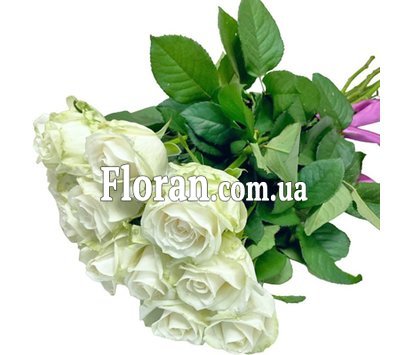 11 white roses
