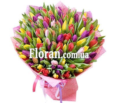 151 тюльпан букет