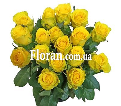 17 желтых роз