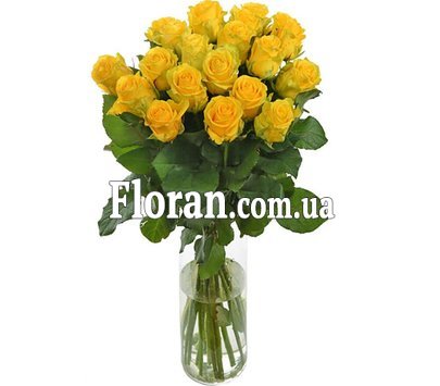 21 yellow roses