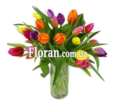 23 разноцветных тюльпана