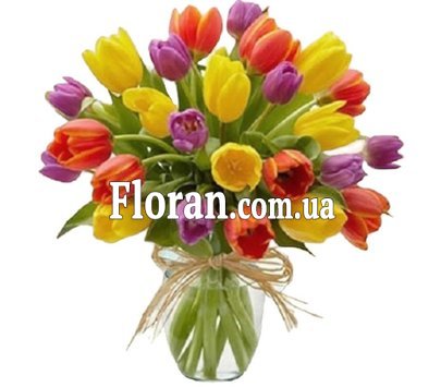 25 тюльпанів