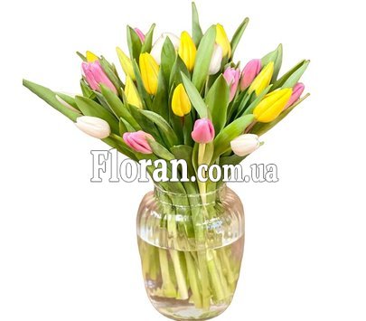 25 тюльпанів мікс