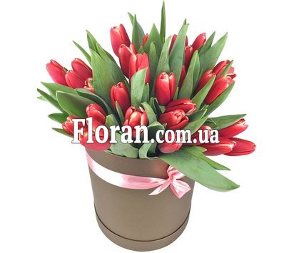 31 червоний тюльпан у коробці